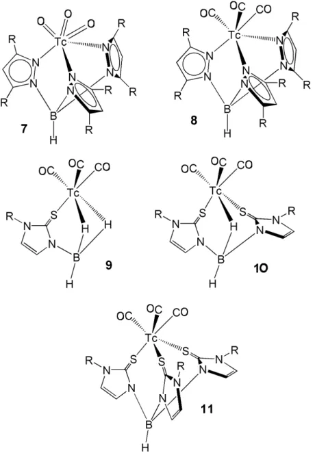 Figure 4. Schematic drawings of the chemical structures of the most important families of technetium  scorpionate complexes