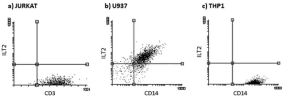 FIG 7 ILT2 membrane expression, evaluated by flow cytometry (anti-ILT2 MAb) in Jurkat (a), U937 (b), and THP1 (c) cell lines