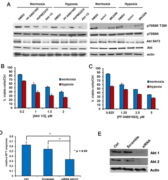 Figure 4: Hypoxia influences BCBL1 cells sensitivity to Akt or PI3K/mTOR inhibition.  A