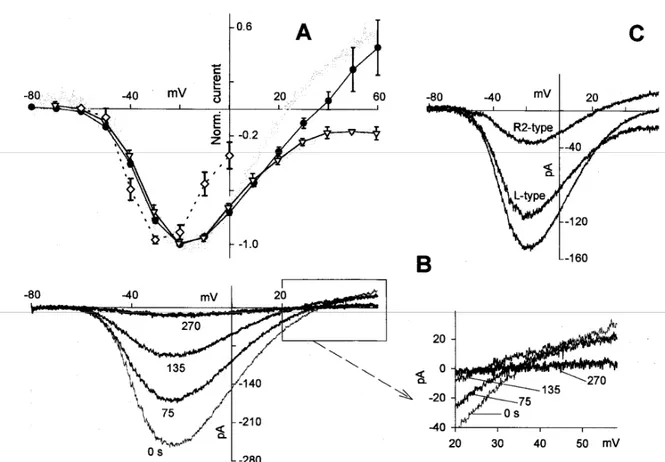 Fig. 17. Voltage dependence of the R-type and the L-type currents. Ca 2+  currents in the 