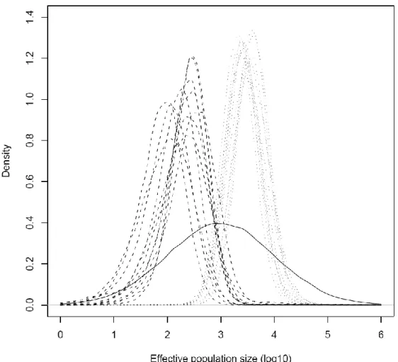 Figure 1.3. Posterior distribution of the effective population sizes (in log 10 units) for each population  obtained  with  MSVAR  (assuming  the  exponential  demographic  change)