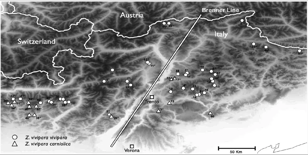 Figure 2.2. Sampling sites of Zootoca vivipara sp. in Northern Italy. Label, site names and coordinates are listed in Table S2.1