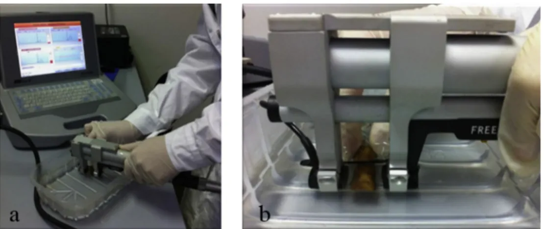 Fig. 1. (a) Measurement using Bone Profiler on phalanges placed inside tray with water