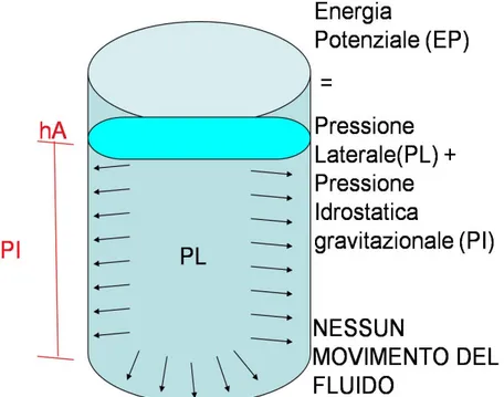 Fig. 2.1: Sistema che esprime l’assenza di movimento di un fluido all’interno di un cilindro, in cui pressione  laterale  (PL)  e  pressione  idrostatica  gravitazionale  (PI)  sono  in  equilibrio