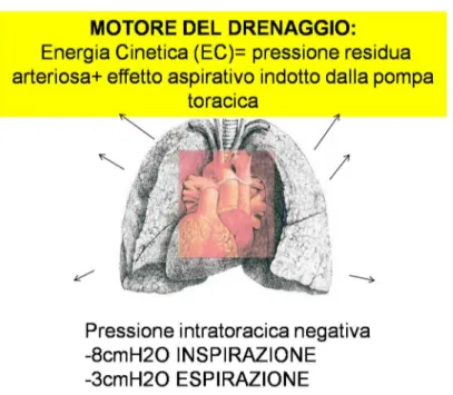 Fig. 2.4: Effetto aspirativo indotto dalla pompa toracica respiratoria, produce unito alla pressione residua arteriosa l’energia cinetica utile al drenaggio cerebrale.