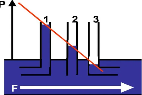 Fig. 2.5: L’esperimento dei  tubi di Pitot,  dimostra che l'aspirazione di un  fluido ,avviene grazie all'effetto Venturi in tubi collaterali con diversi gradienti di pressione laterale, questo legato alla presenza di velocità crescenti all’interno del con