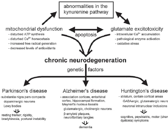 Figure  1.  Kynurenine  dysfunction  and  the  common  pathways  in  chronic  neurodegenerative disorders (Zadori et al., 2009)