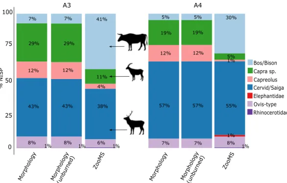 Figure 3.  Barplot of %NISP of identified herbivores at Fumane. Morphology: this includes all specimens 