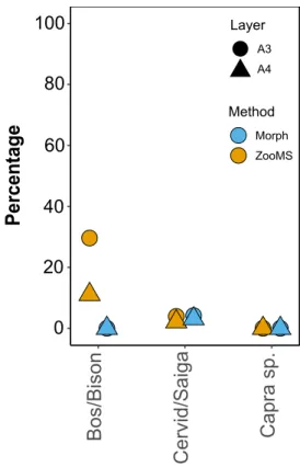 Figure 6.  Percussion marks frequencies for the three main species groups within the morphology and the 