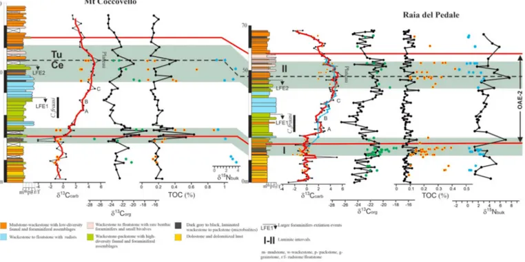 Figure 2. Biostratigraphy, lithostratigraphy, and δ 13 C carb , δ 13 C org , TOC, and δ 15 N bulk pro ﬁles across the OAE‐2 interval in the studied sections