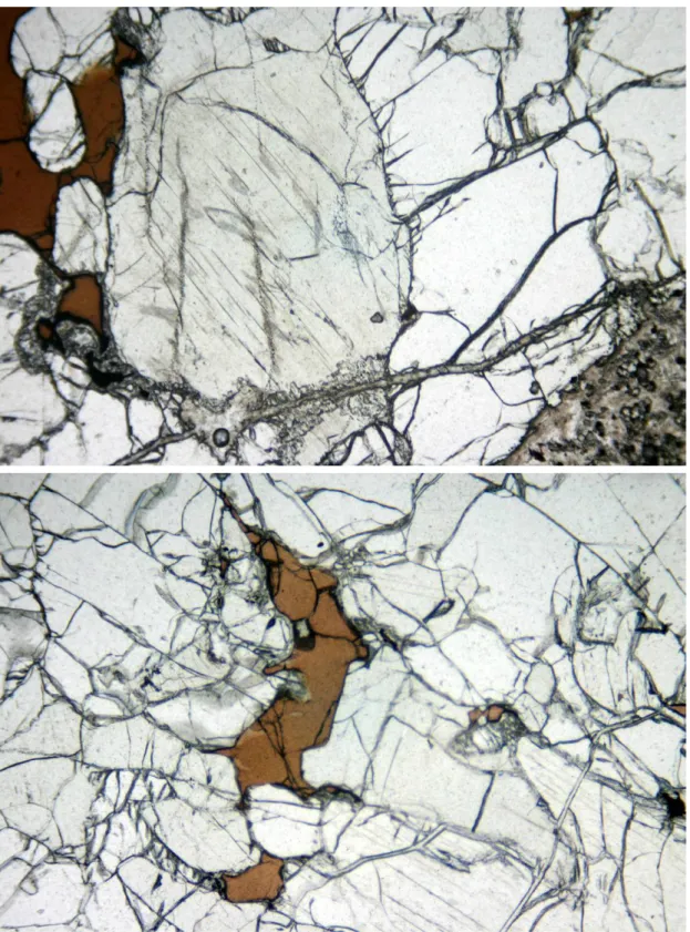 Fig. 4.3 - Texture of xenolith PSS20: cpx exsolution lamella in opx 
