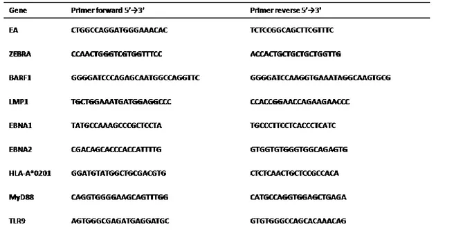 Table  5:  primers  used  for  qRT-PCR.  Primers  were  designed  with  primer3  web  tool 