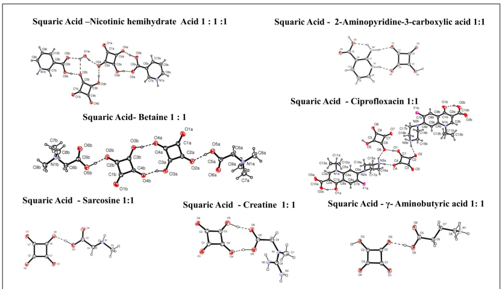 Fig. 3.2. Cocrystalof Squaric acid (SQA) with zwitterionic compoundsSquaric Acid  - Sarcosine 1:1 Squaric Acid  - Creatine  1: 1  