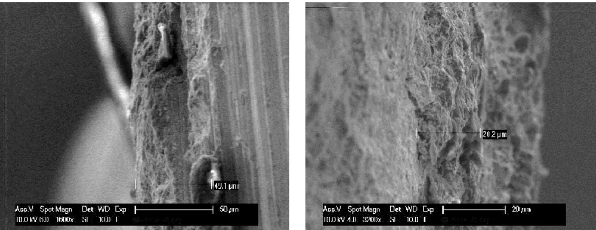Figure 4.1: SEM micrographs of the austenitic bar from both side. 