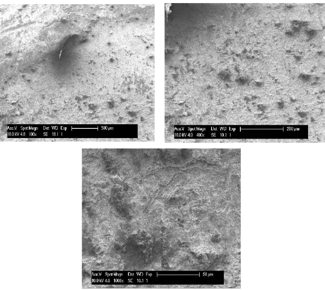 Figure 4.17: SEM micrographs of the raw square bar, arranged with increasing  magnification