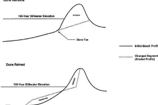 Figura  1.8  –  Rappresentazione  schematica  di  differenti  geometrie  di  erosione  della  duna  considerate  nella  valutazione del rischio da inondazione marina dalla FEMA (2003)