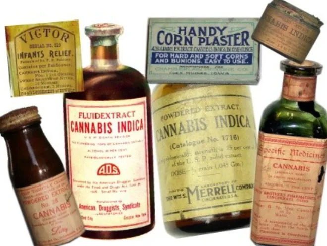 Fig. 1 Cannabis preparations in the early XX century 