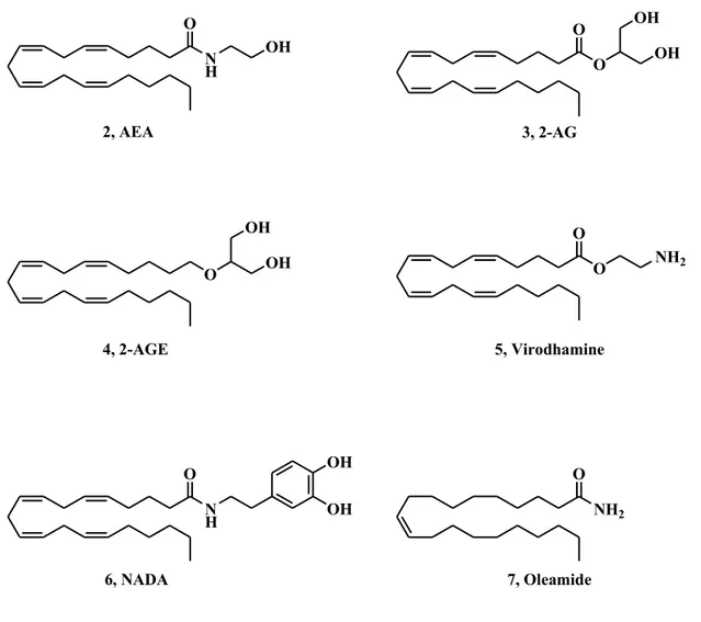 Fig. 4 Chemical structures of endocannabinoids 