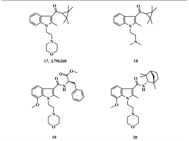 Fig. 9 Cycloalkyl ketone and Carboxamide derivatives 