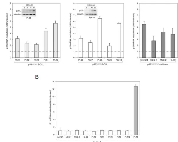 Figure 3: Induction of p21 by DCA in p53 mutated/null  leukemic cells.  Levels of p21 were analyzed by quantitative RT-PCR in the 