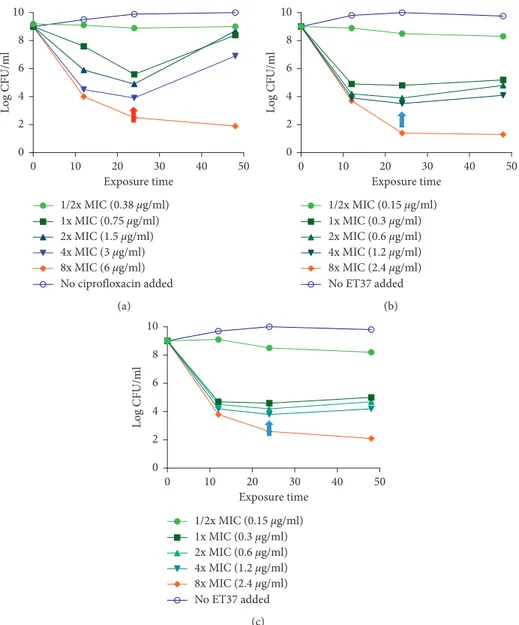 Figure 10: (a) Time-kill studies with P. aeruginosa clinical strains with concentration ranging from 0.5 to 8x the MIC of ciprofloxacin