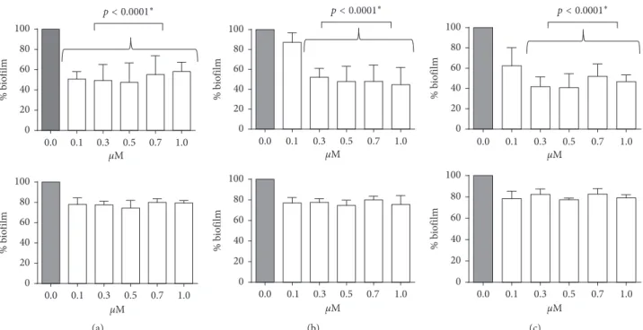 Figure 6: Evaluation of biofilm mass after ET37 (upper panel) or ET39 (lower panel) treatment on (a) P