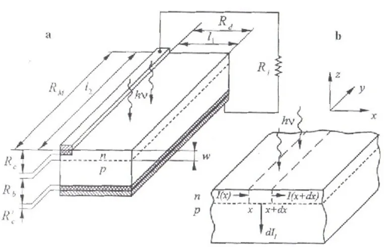 Figure 2.1 a – A “classic” design of a solar cell with a busbar contact, and b – scheme of current flow through a small part of 