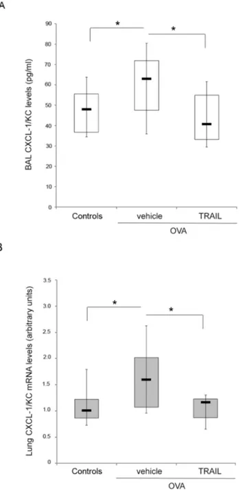 Fig. 4. Effect of recombinant TRAIL on OVA-induced CXCL-1/KC expression. In A, the levels of CXCL-1/ KC in the BAL fluids of Controls, OVA- and TRAIL+OVA-mice were measured by Multiplex assay