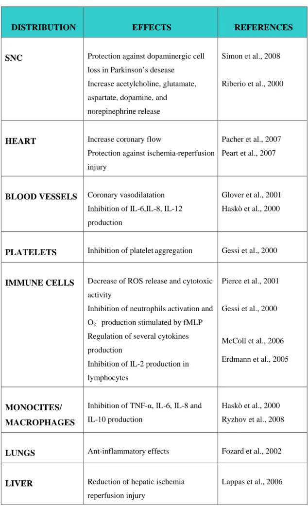 Table 2: Effects mediated by A 2A  adenosine receptors 