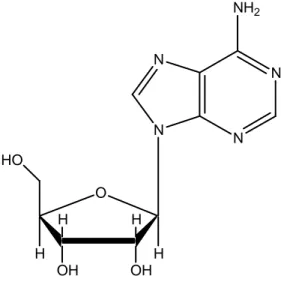 Figure 1: Adenosine structure 