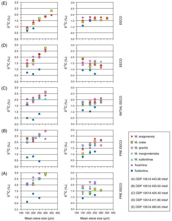 Figure 6. Planktic foraminiferal δ 13 C test size trends from ﬁve selected samples (A–E) located below and across the EECO at the ODP Sites 1051
