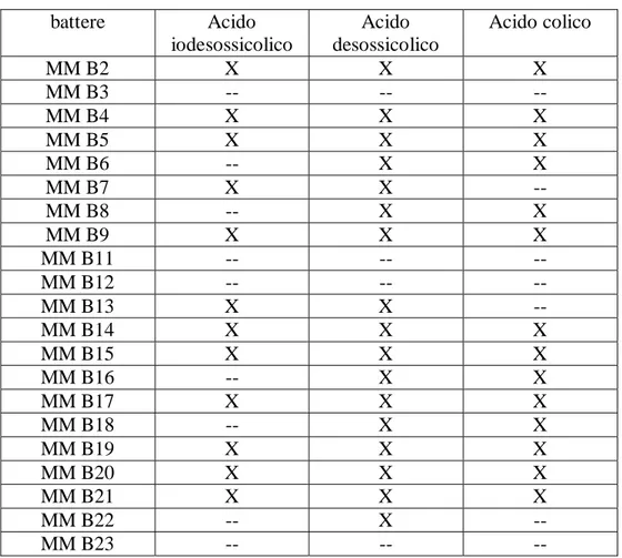 Tabella 1. Screening biotrasformativo di batteri  battere Acido  iodesossicolico  Acido  desossicolico  Acido colico  MM B2  X  X  X  MM B3  --  --  --  MM B4  X  X  X  MM B5  X  X  X  MM  B6  -- X X  MM B7  X  X  --  MM  B8  -- X X  MM B9  X  X  X  MM B11