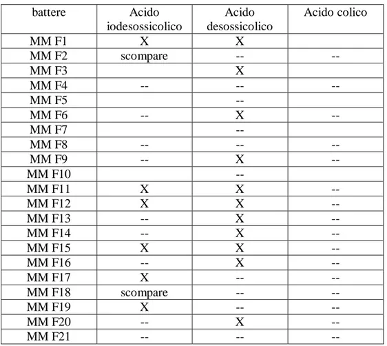 Tabella 2. Screening biotrasformativo di funghi  battere Acido  iodesossicolico  Acido  desossicolico  Acido colico  MM F1  X  X  MM F2  scompare  --  --  MM F3  X  MM F4  --  --  --  MM  F5   --   MM F6  --  X  --  MM  F7   --   MM F8  --  --  --  MM F9  