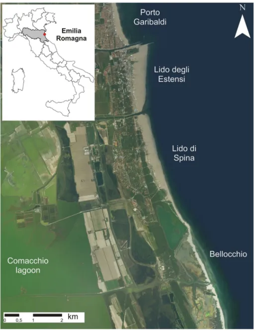 Fig. 1. The area of Porto Garibaldi, Emilia-Romagna region, Italy. The coastal towns of Lido degli Estensi and Lido di Spina, The Comacchio lagoon and the Bellocchio area are indicated.