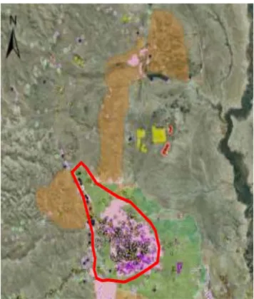 Figure 1.2: Location of the study area at the Jericho Oasis¯