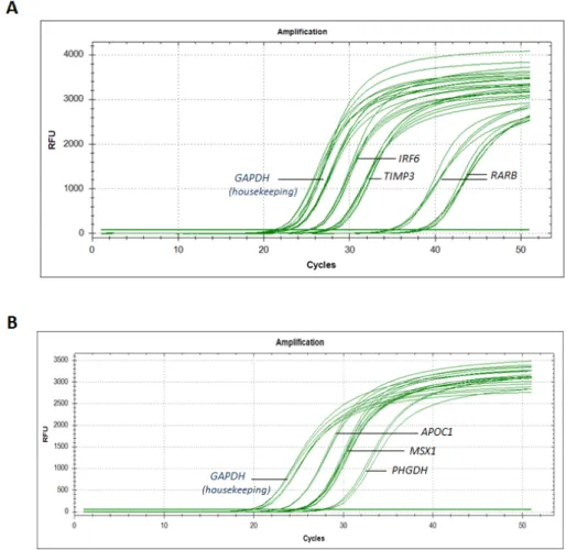 Figure 10.  R ea p p resentative real-time quantitative RT-PCR amplification plot of:  (A) 