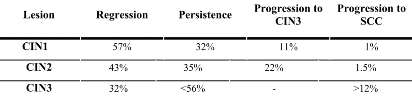 Table 1. Regression, persistence and progression to CIN3 or SCC probability of different   CIN pre-cancerous lesions.