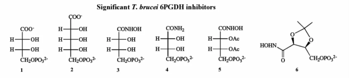 Fig. 11. Structures of some substrate analogues (Ac=Acetyl group). 