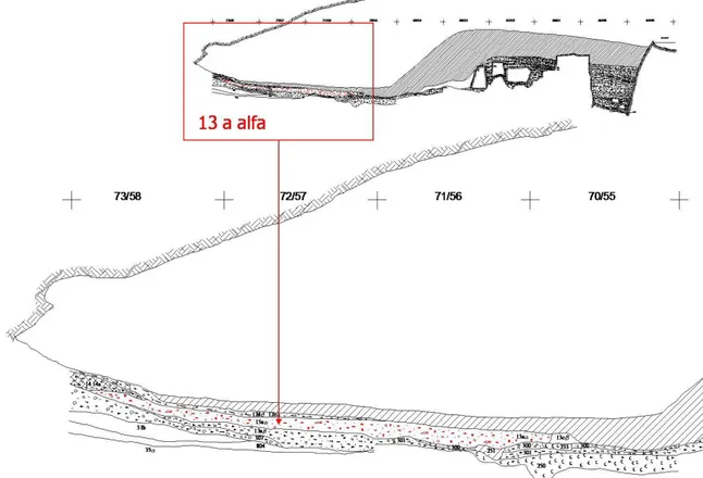 Fig. 4: Sezione stratigrafica trasversale dell’US 13a alfa  