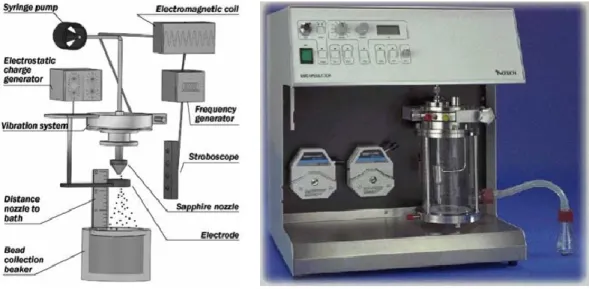 Fig.  12.  Schematic  representation  (left)  and  photograph  (right)  of  the  encapsulation  device  based on a vibrating nozzle, commercialized by EncapBioSystems Inc