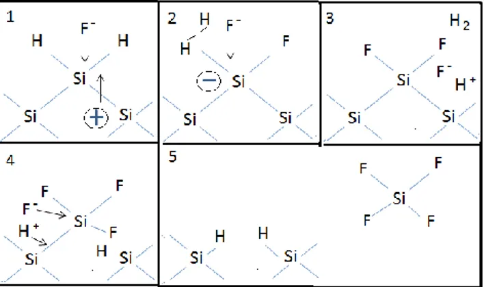 Figure 3.2: Reaction mechanism for the electrochemical etching of Si in HF solution. Adapted after  Ref