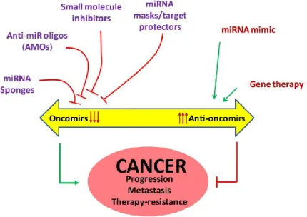 Figure 1.7. miRNA-based therapeutic strategies against cancer. (84) 