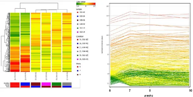 Figure 13: Left: Heatmap of gene expression hierarchical clustering comparing samples at 6 weeks versus 7 