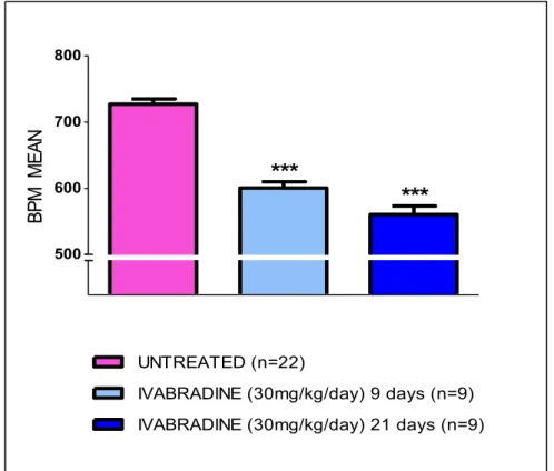 Figure 16: Mean HR (BPM) in ApoE -/- mice before and after ivabradine treatment.  ***  p value &lt; 0,0001 