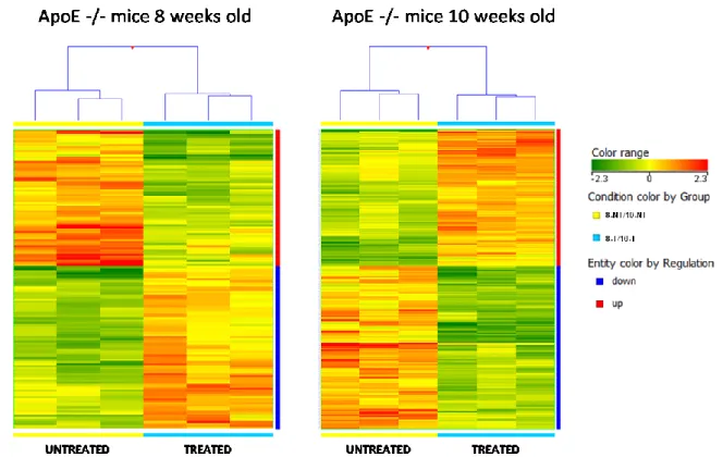 Figure  17:  Heatmap  of  hierarchical  clustering  of  gene  expression  in  samples  from  8  weeks  old  mice     