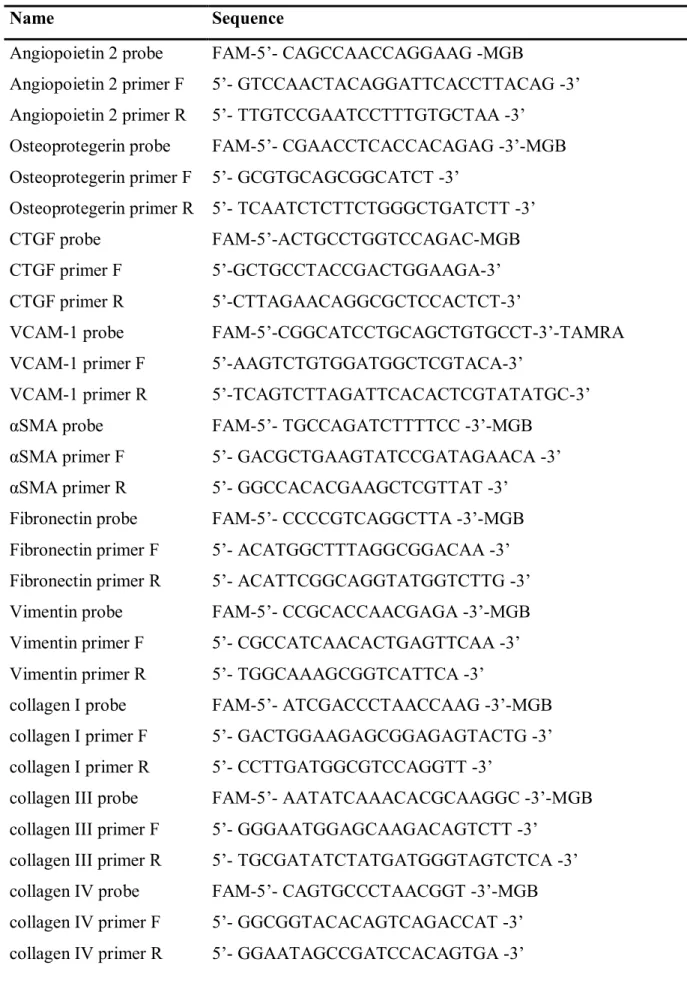 Table 1. TaqMan Primers and Probe Sequences used for real-time RT-PCR in mouse VSMC 