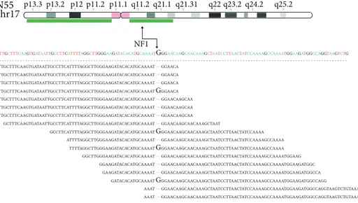 Figure 1: Deletion of the wild-type allele occurred in PCC samples that carry NF1 or VHL somatic mutations