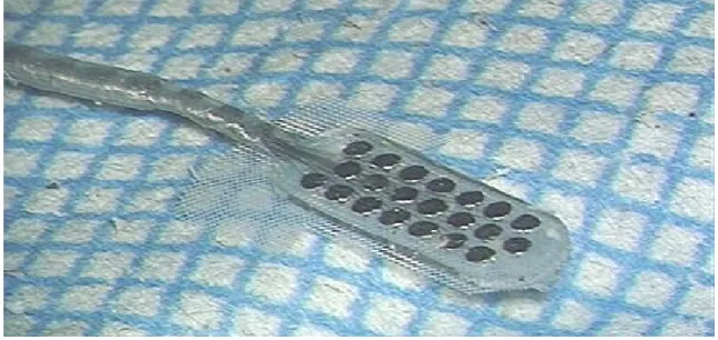 Figura 2: Dettaglio della placca porta-elettrodi. 