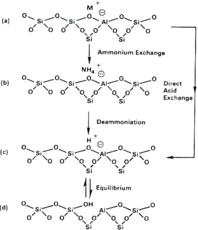 Figure 2.2  Formation of Brønsted and Lewis acid sites in a zeolite: (a) as synthesized 