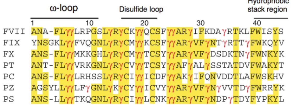 Fig.  7    Amino  acid  sequences  in  the  Gla  domains  of  human  vitamin  K-dependent  plasma proteins